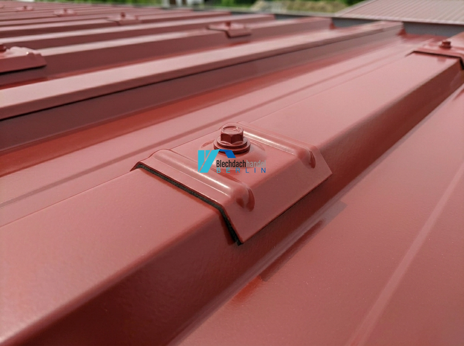 Kalotten RAL 3009 - oxidrot – Polyesterlack kaufen — Detailansicht