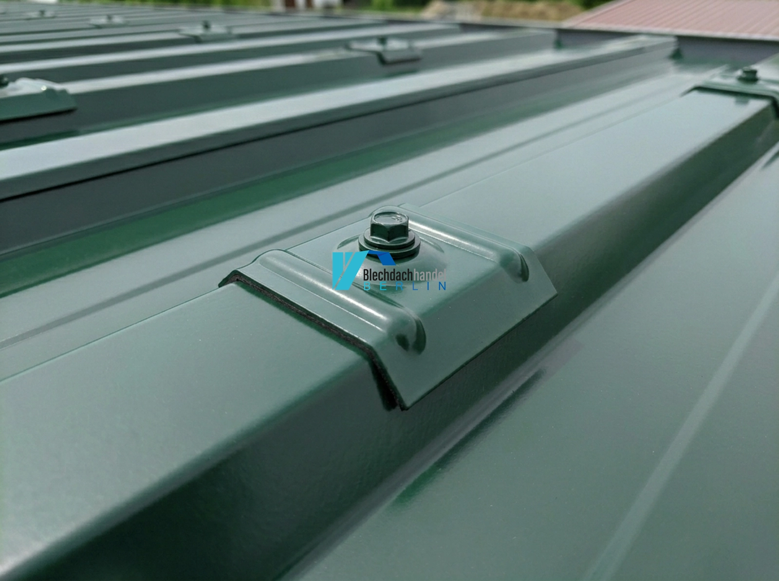 Kalotten RAL 6020 Chromoxidgrün – Polyesterlack kaufen — Detailansicht