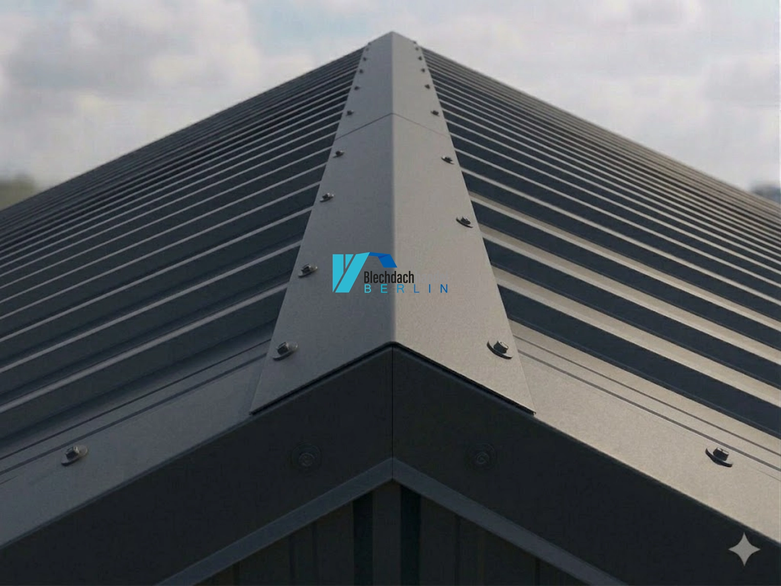 Firsthaube RAL 7016 - anthrazit – 0,5mm matt 35µm Polyester — Detailansicht