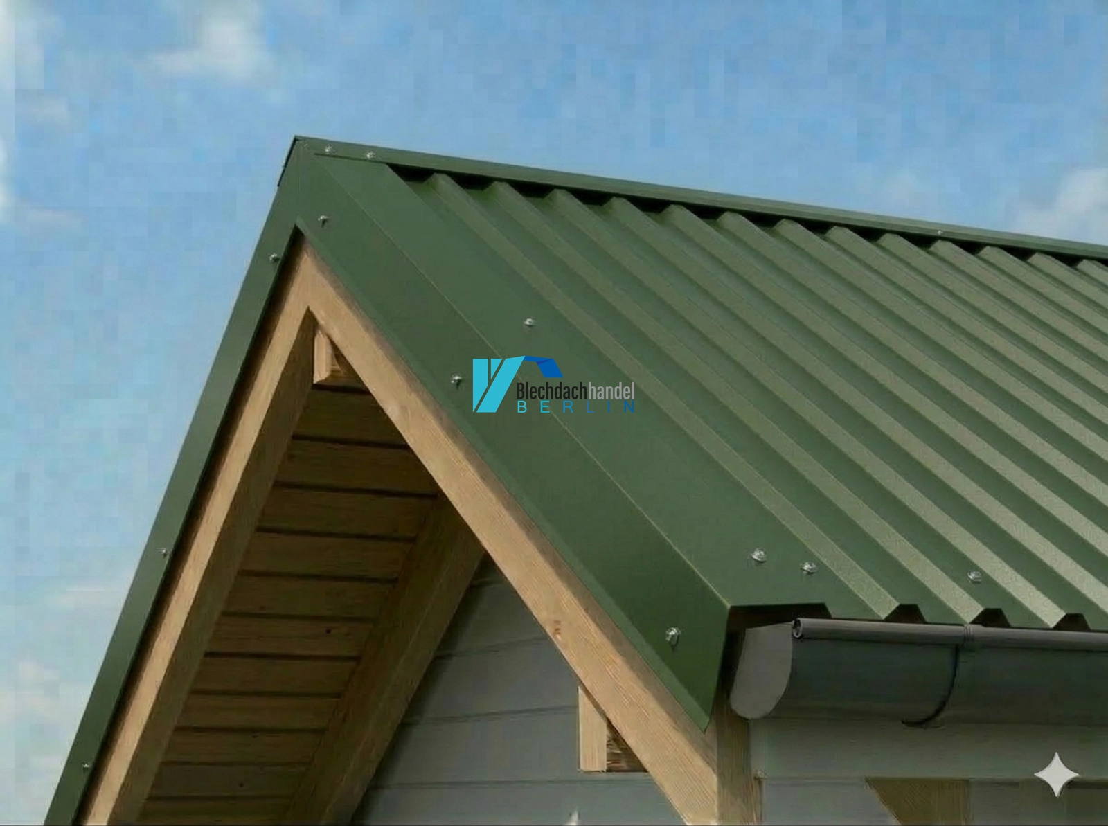 Ortgangblech RAL 6020 Chromoxidgrün – 0,5mm matt 35µm Polyester kaufen — Detailansicht